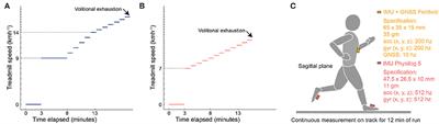 Augmented Cooper test: Biomechanical contributions to endurance performance